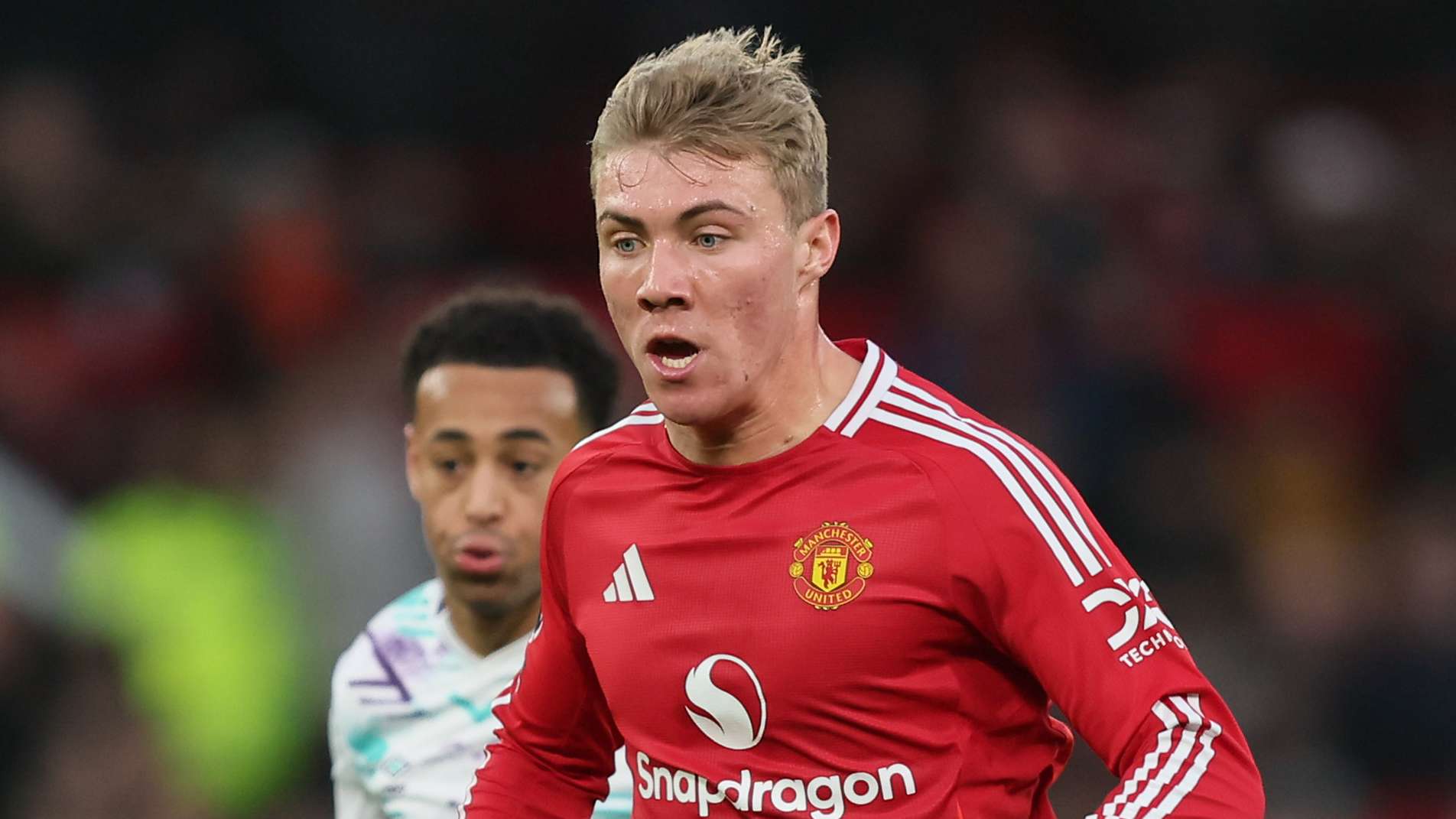 仅仅局限于 仅仅局限于